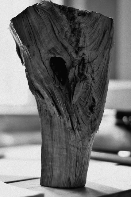 woodlandcreature_scaled