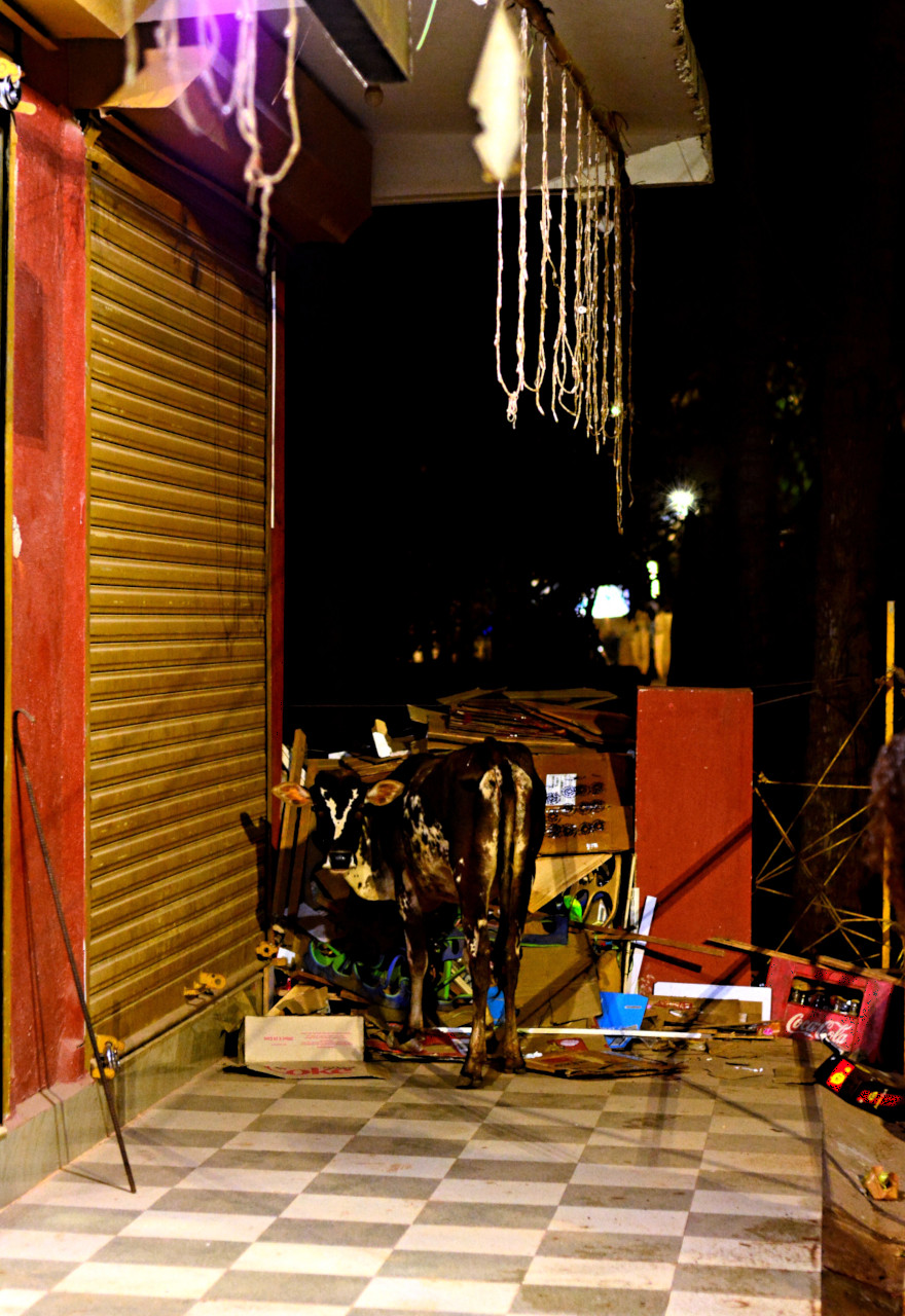 viewsIII_wb_scaled_sch